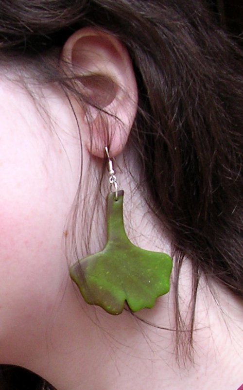 Ginkgo — foto 2