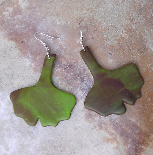 Ginkgo — foto 4