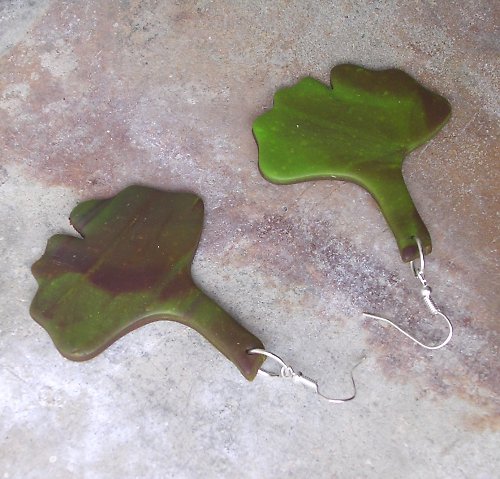 Ginkgo — foto 5