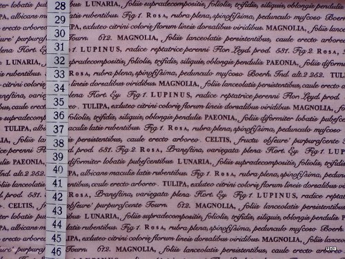 Látka Botanika růžová - text — foto 2