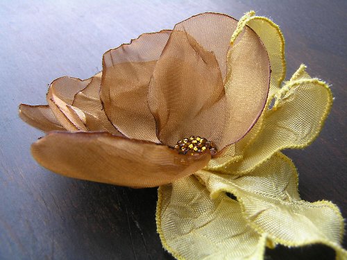 Lískooříšková — foto 5
