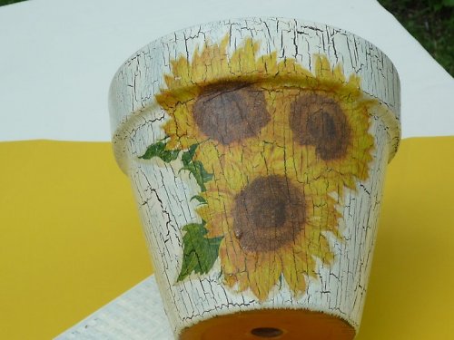 Slunečnicový květináč 2. — foto 3