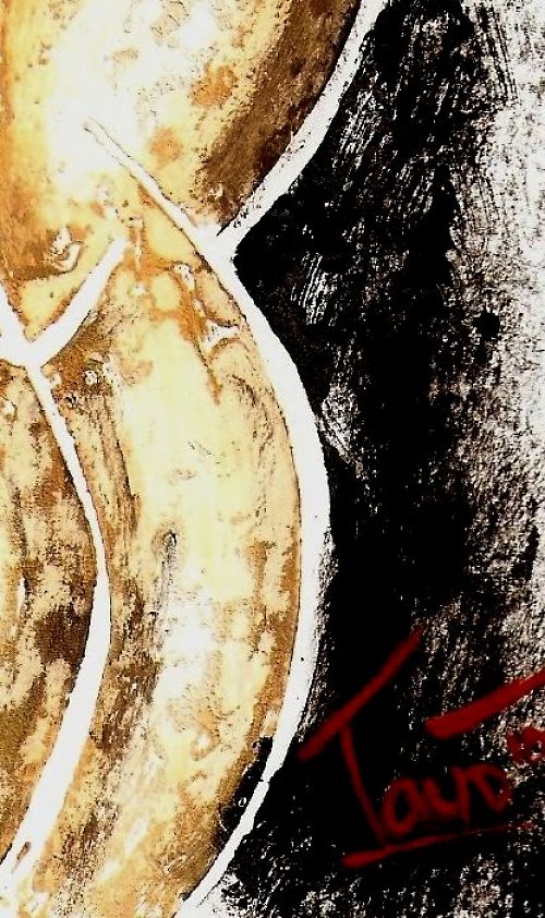 Grafika Václava: Tauše — foto 2