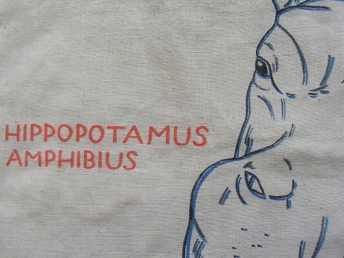 Hippotaška — foto 5