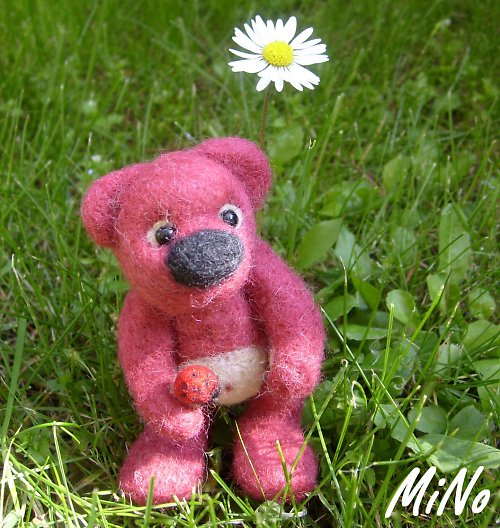 Matěj — foto 4