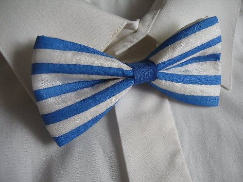 Pánský motýlek - Námořnický — foto 2