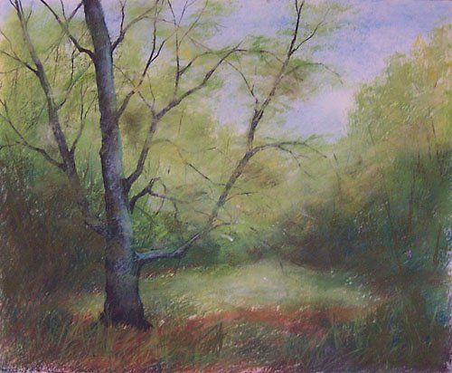 Okna do krajiny — foto 2