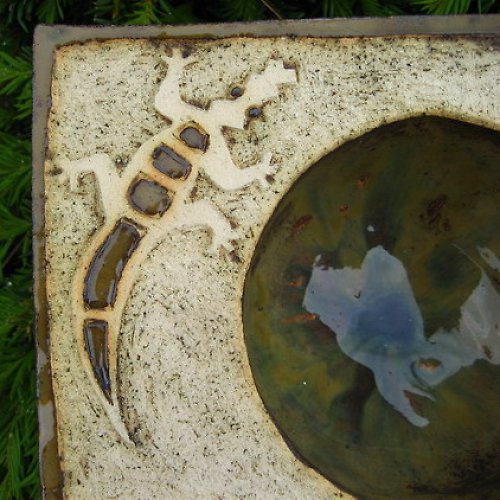 Krokoještěrka — foto 2