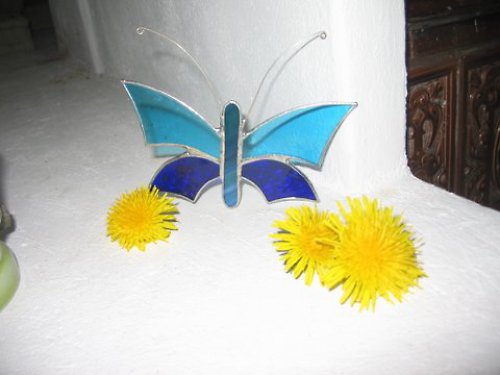 Bleděmodro-modrý.... — foto 2