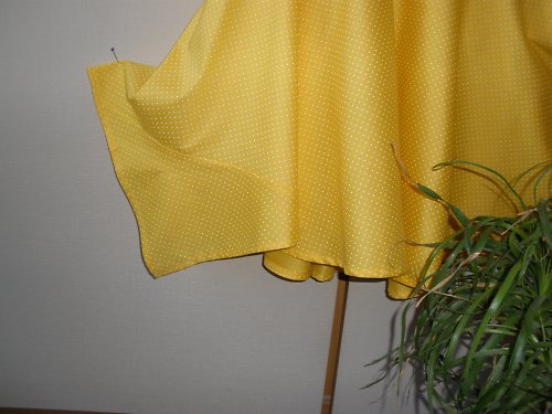 Sluneční puntíkatá — foto 2