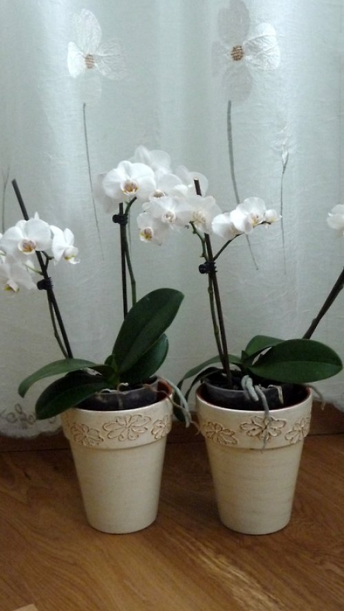 Květináč ozdobný — foto 3