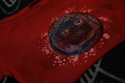Soví sová sové......rezervace — foto 3