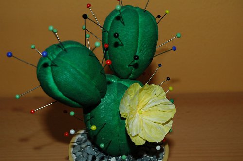Kaktusový jehelníček — foto 3