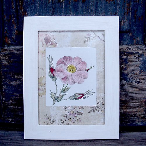 La rose ála Redouté No. 1 — foto 2