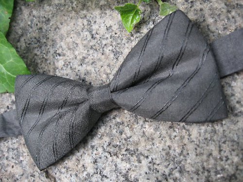 Pánský motýlek - Švihák — foto 2