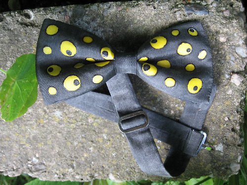 Pánský motýlek - Mlok — foto 2