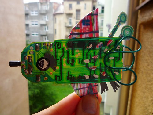 Ptáčí brož — foto 2