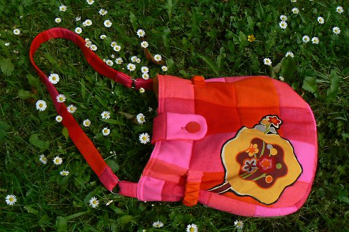 ..pampelucha mexická... — foto 2