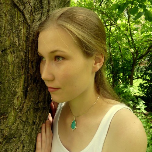 Fairy Shale — foto 2