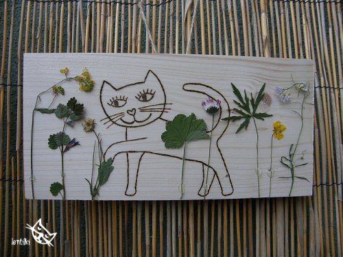 Kočička je na louce — foto 3