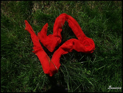 Šála-červená — foto 3