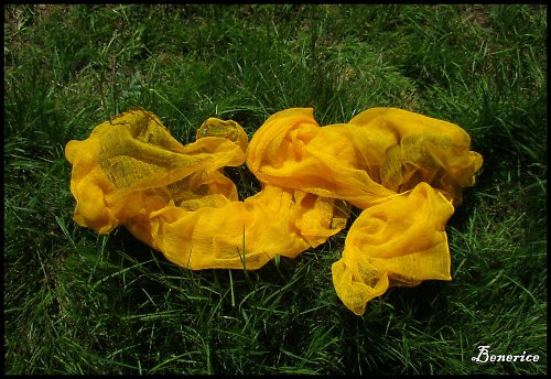 Šála-sluníčková — foto 2