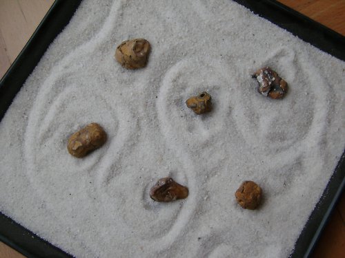 ZEN zahrádka — foto 2