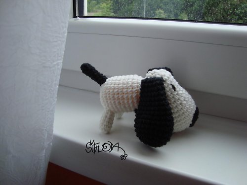 Black n´white friends - pejsek chrastící — foto 5