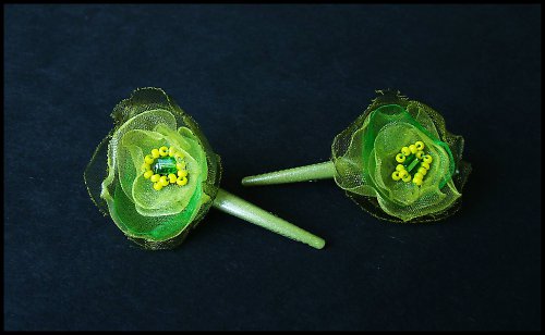 Kytičkaté klipsny - Žabička — foto 2