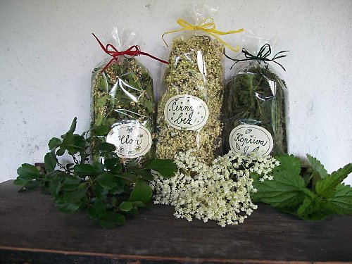 Černý bez 2011- bylinky z Valašska 30 g — foto 2