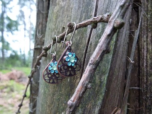 Myosotis sylvatica-pomněnka lesní — foto 5