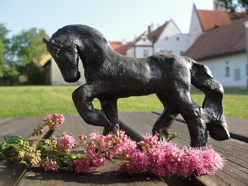 Vraník — foto 3