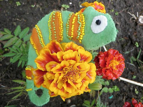 Chameleon Zelený — foto 2