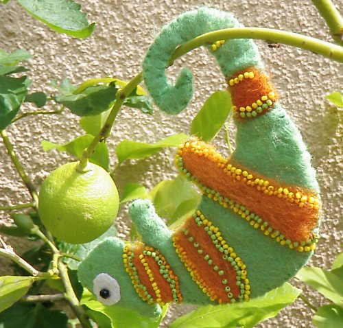 Chameleon Zelený — foto 4