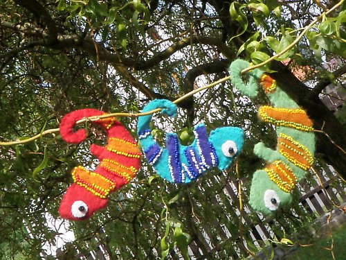 Chameleon Červený — foto 3