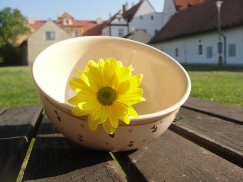 Tulimiska — foto 2