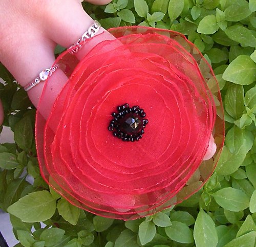 Poppy — foto 3