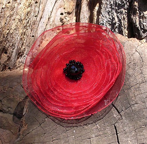 Poppy — foto 4