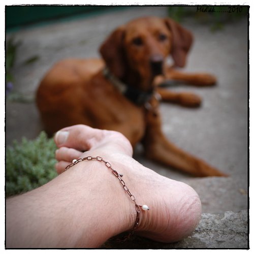 Něco pro Rosie............ — foto 4