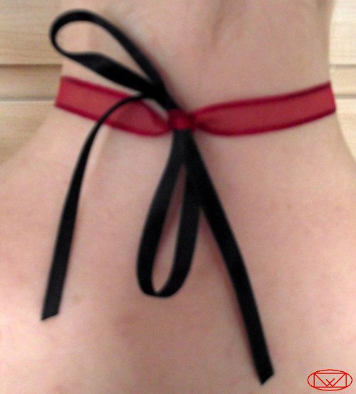 Obojek pro Lolitku — foto 2