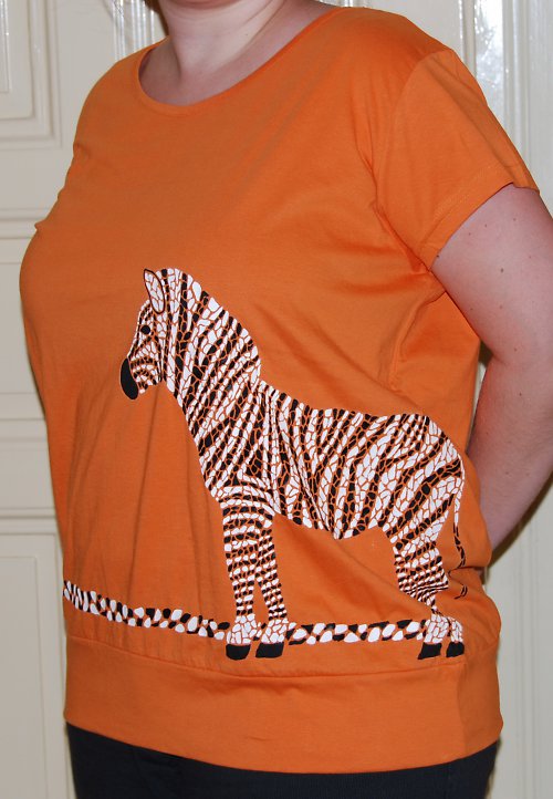 Žeby zebra? — foto 2