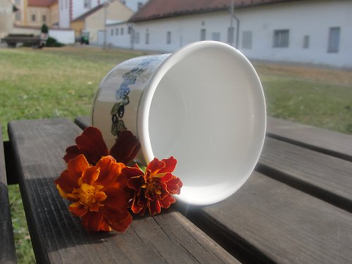 Svět borůvek — foto 3