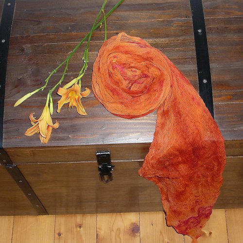 Oranžová Meruňková — foto 4