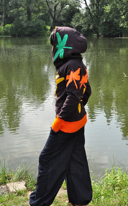 DragonFlyiX — foto 3
