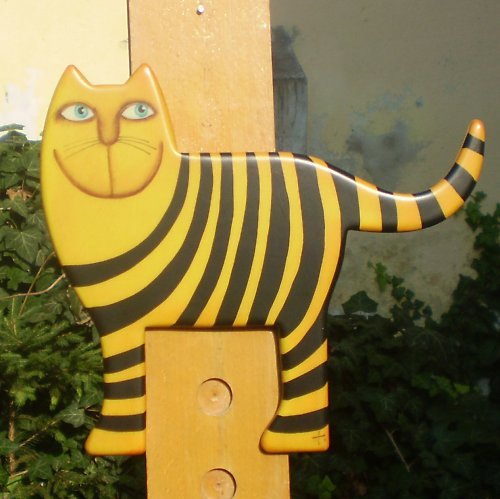 Kočka pruhovaná — foto 5