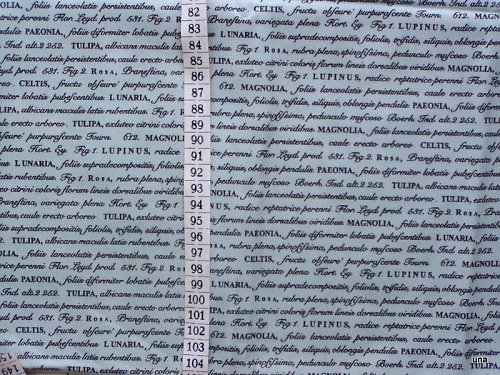 Látka Botanika modrá - text — foto 2