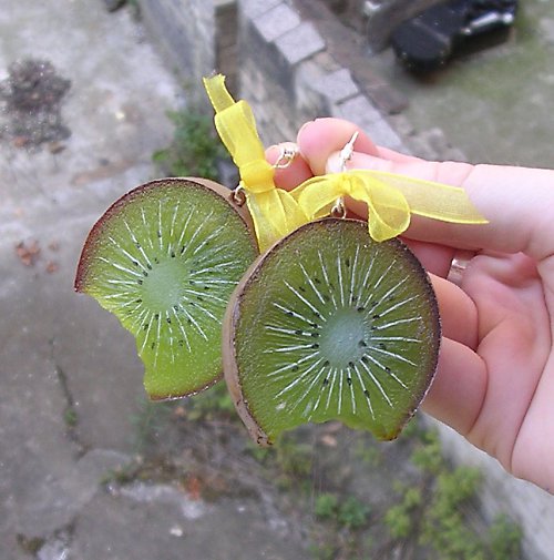 Kiwi — foto 4