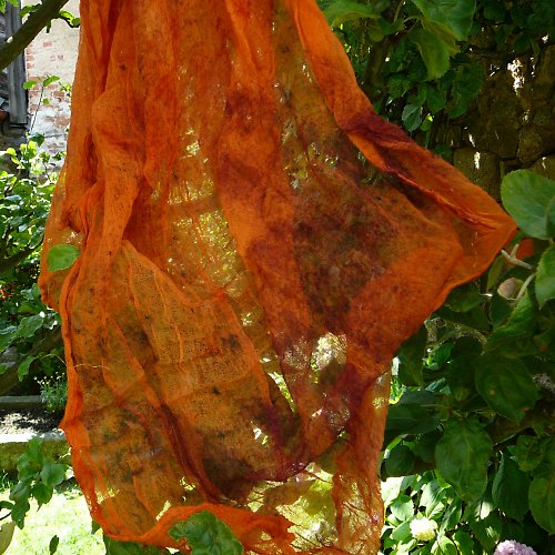 Oranžová Kropenatá — foto 3