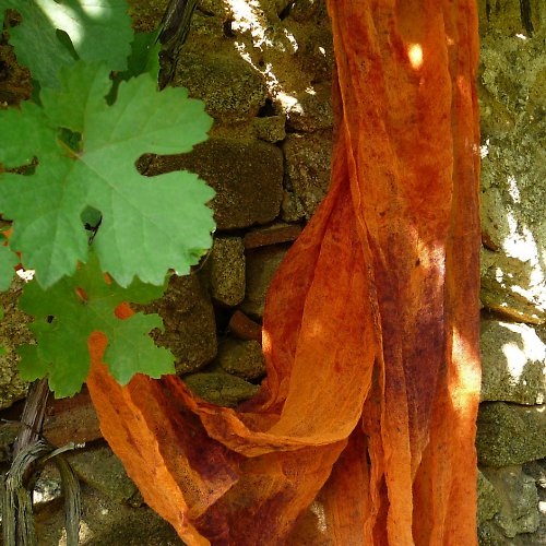 Oranžová Kropenatá — foto 5