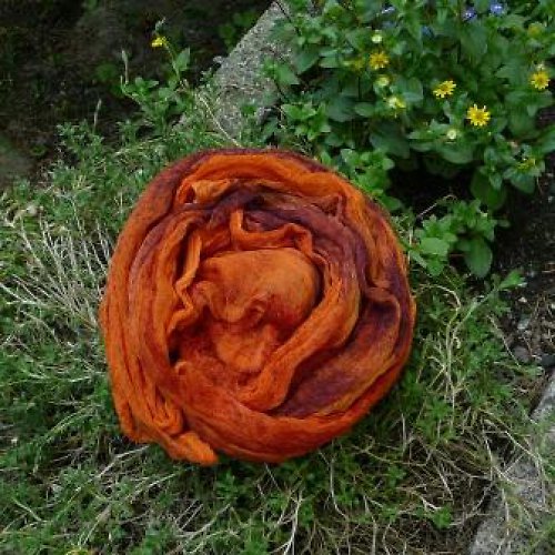 Oranžová Kropenatá — foto 6